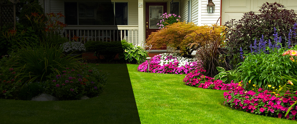 Palo Cedro Landscapers