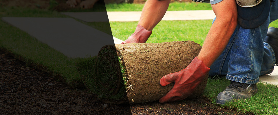 Palo Cedro Landscapers